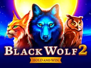 Black Wolf 2 screenshot